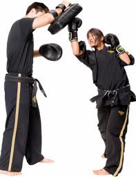 martial arts styles