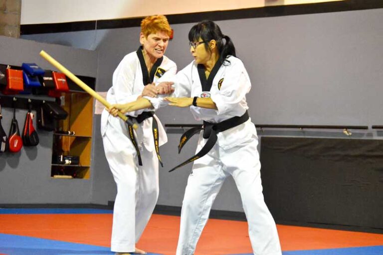 adult taekwondo