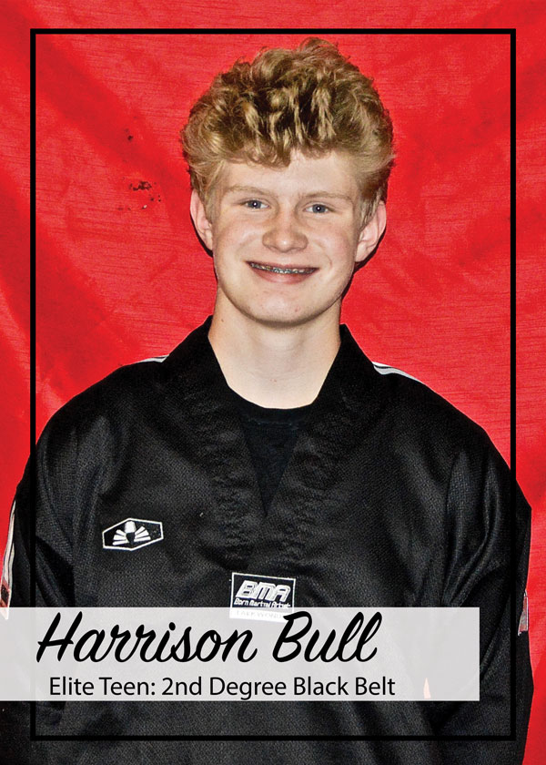 Harrison Bull