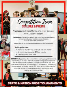 Competition Team Flyer Back
