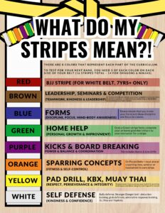 What do my stripes mean?