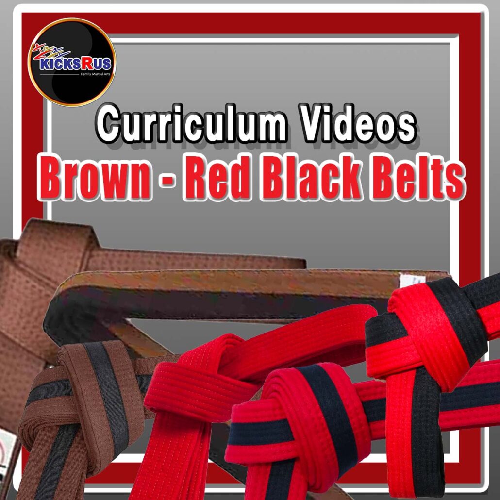 Brown and Red Curriculum
