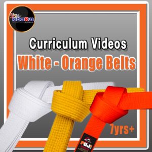 White and Orange Curriculum